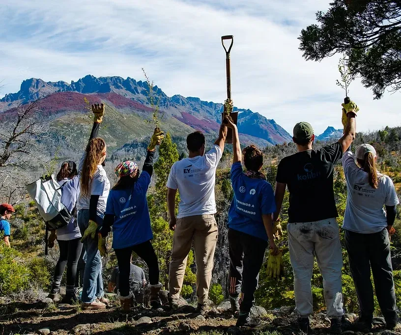 Jornada de plantación de árboles junto a ReforestArg